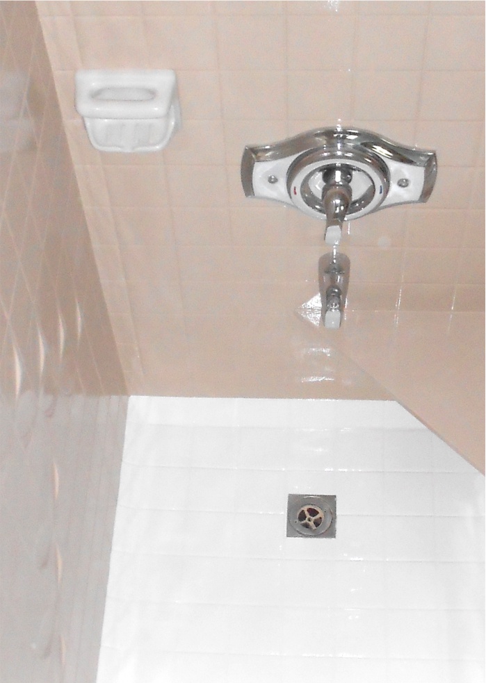 shower reglazing cost